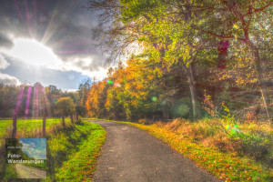 Herbstwald HDR